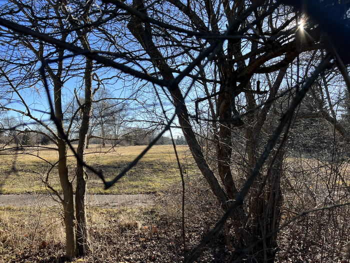 Romeo Golf & Country Club - Course And Cart Path Jan 14 2023 (newer photo)